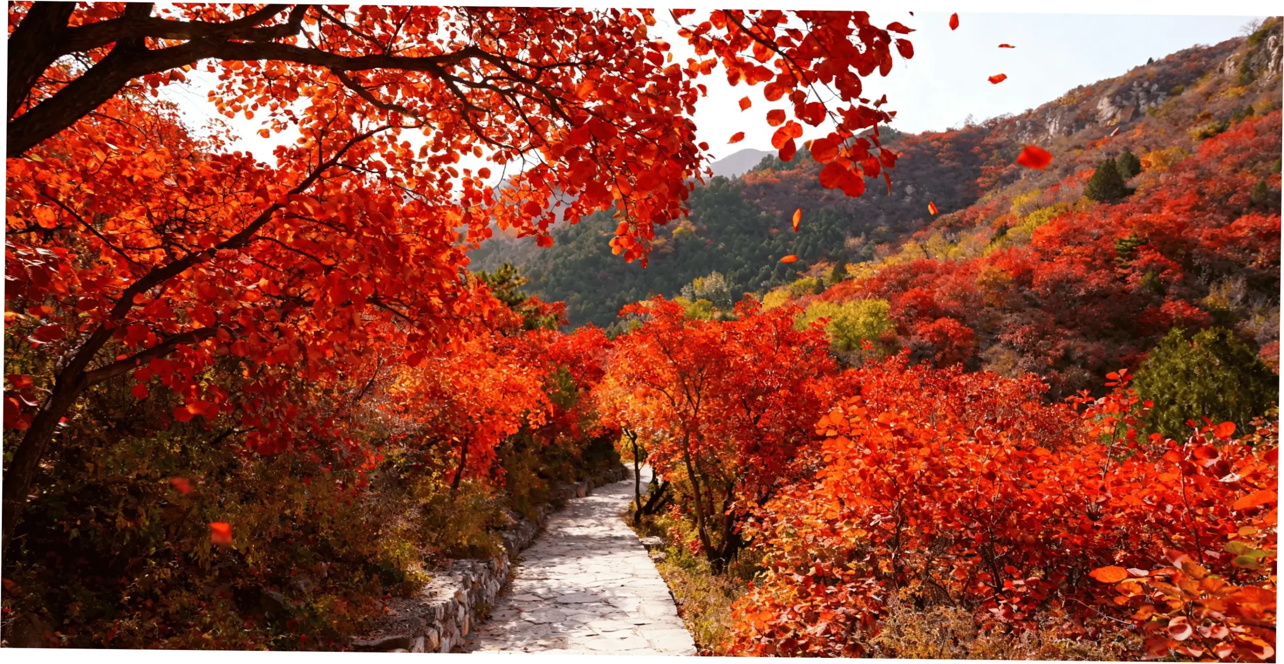 Navigating the Badaling Experience