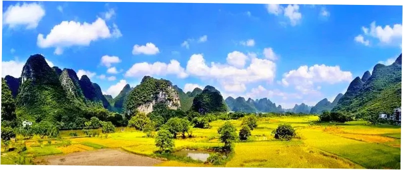 Cultural Events and Seasonal Activities