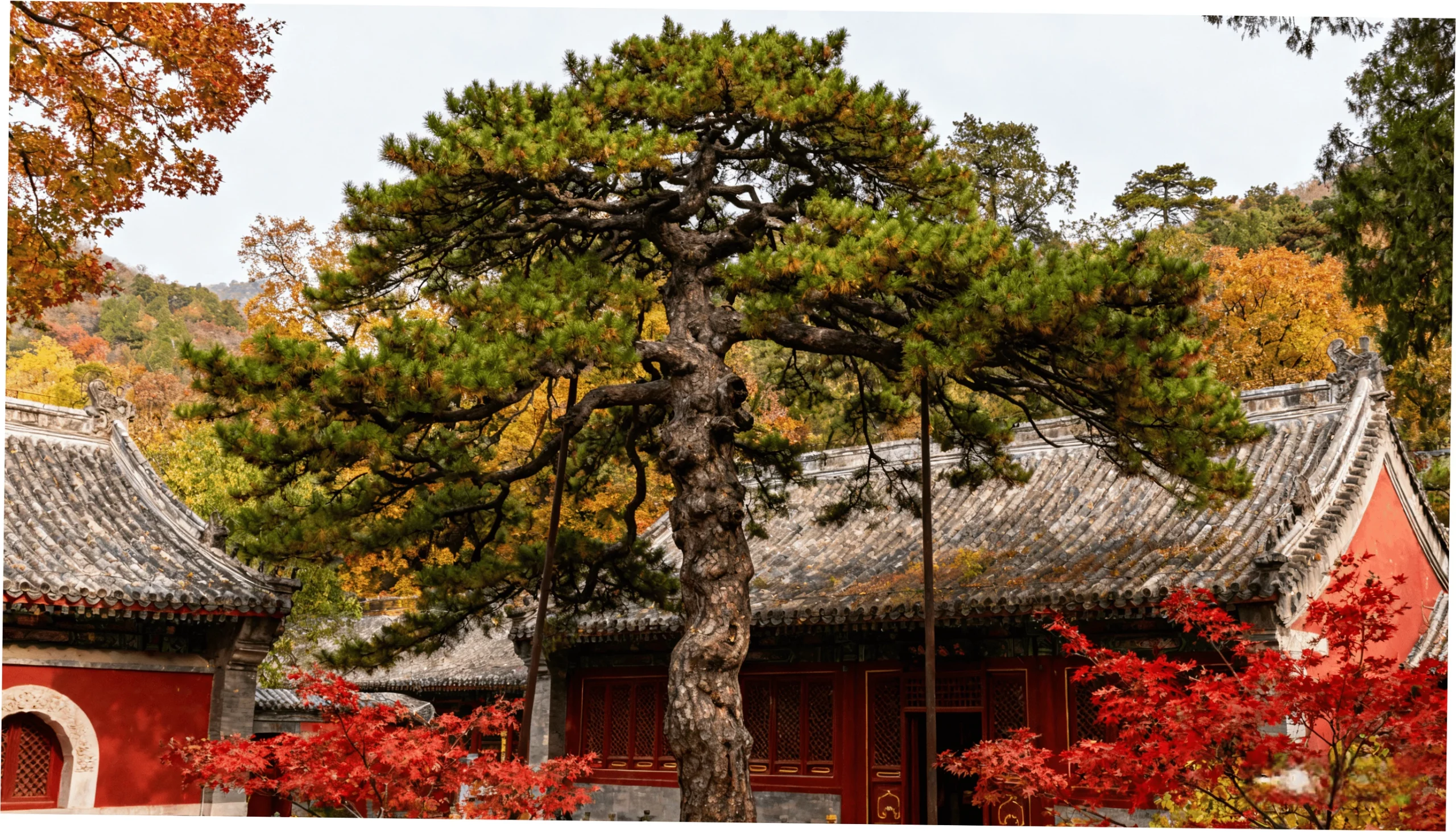 Planning Your Visit - A Strategic Blueprint